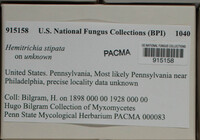 Image Associated With the Occurence
